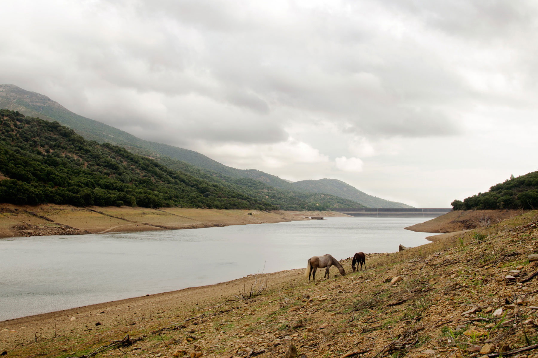 Critica al buio - Foto 040