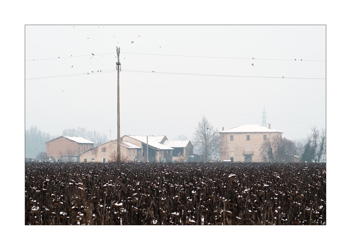 Buon inverno a tutti