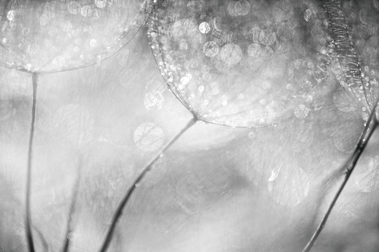 a volte arriva il vento....