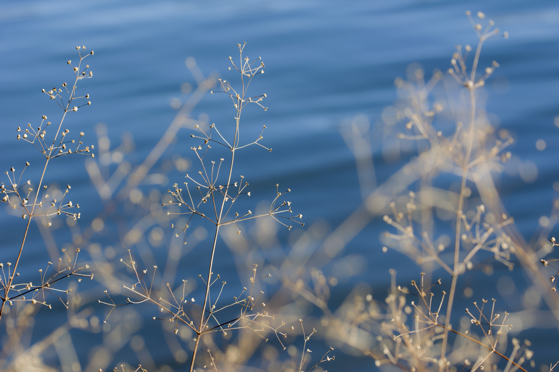 LagoCanterno_24122019