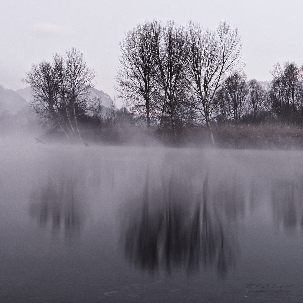 Aspettando l'anno che verr�