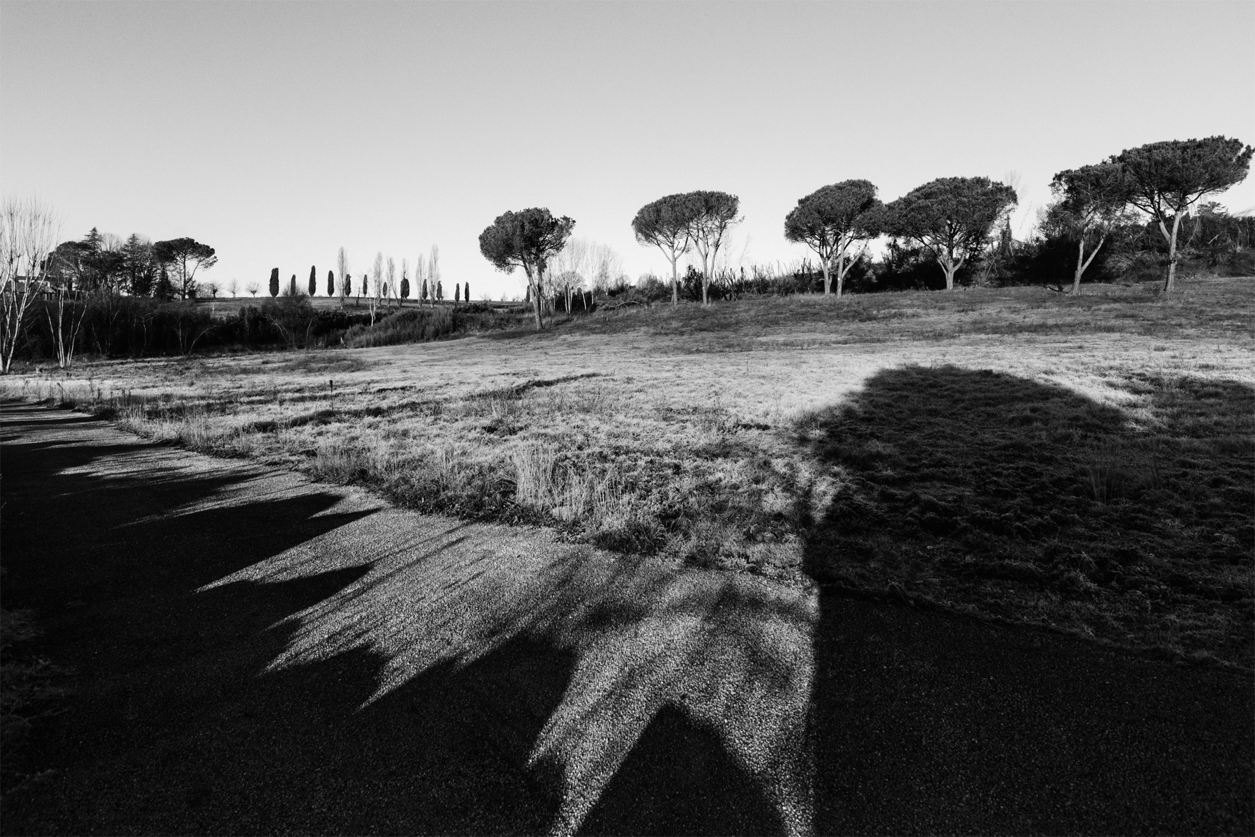 Selva_Paliano_FR_261219