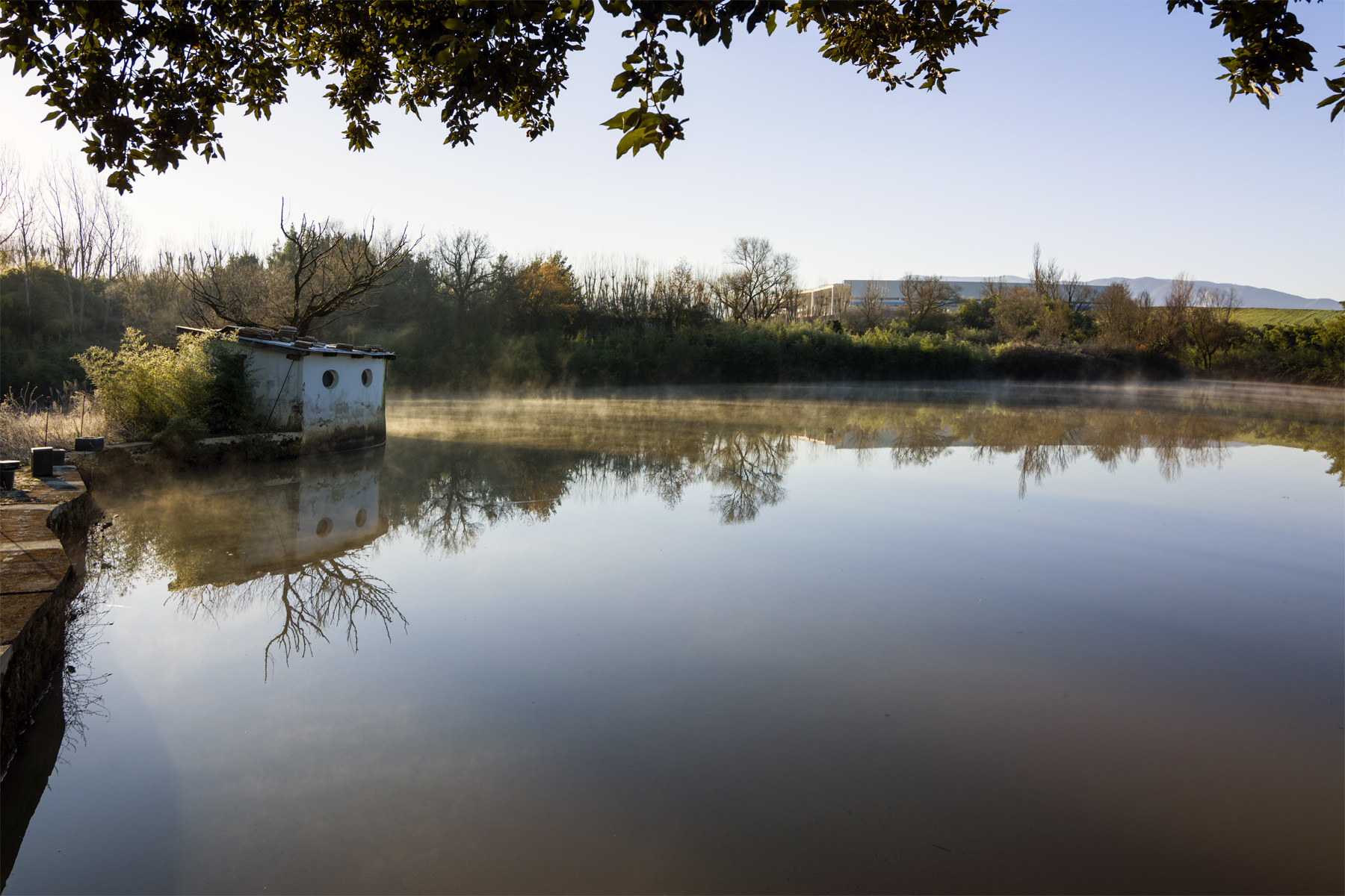 Selva_Paliano_FR_261219