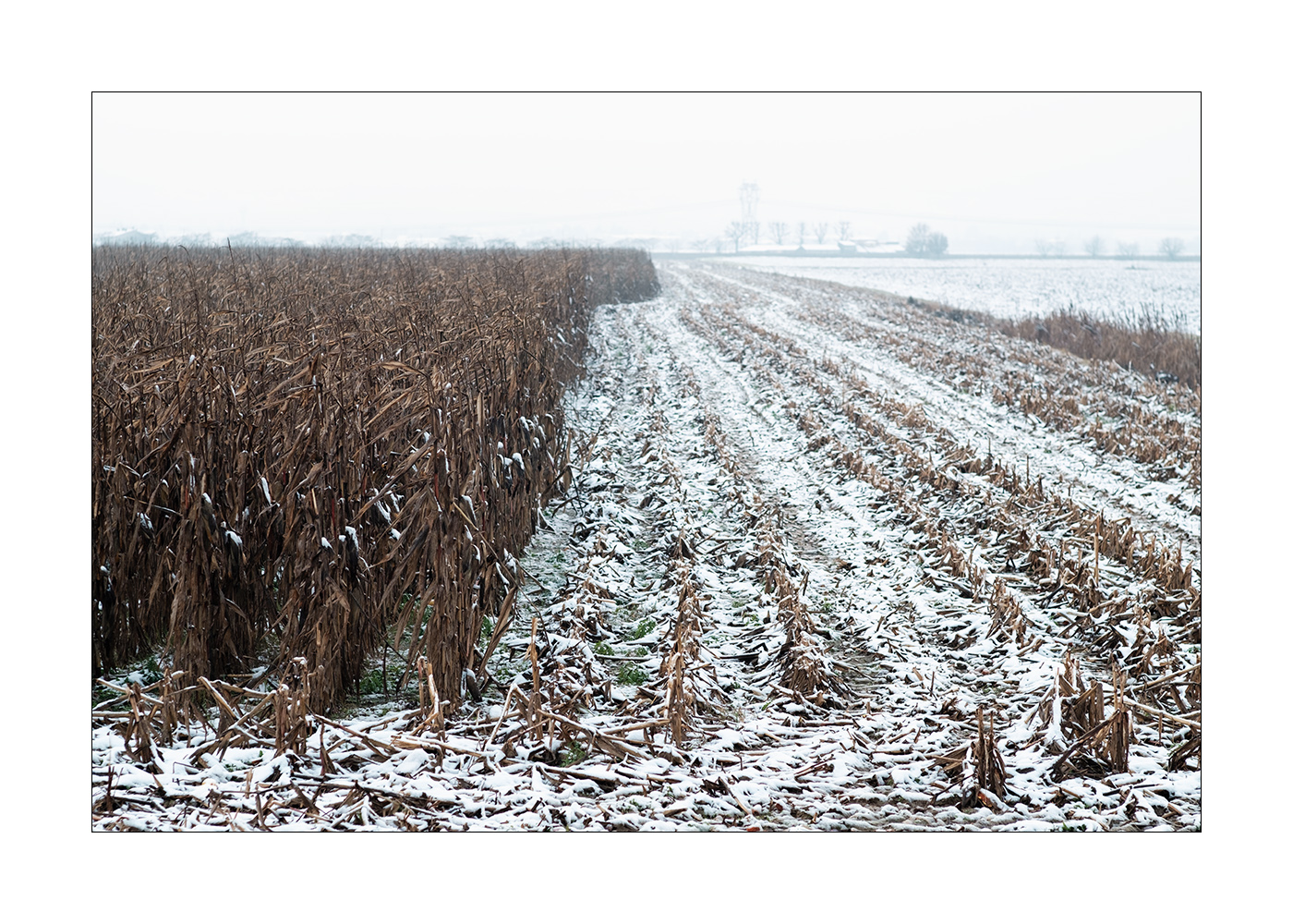 Monotonie padane - Inverno