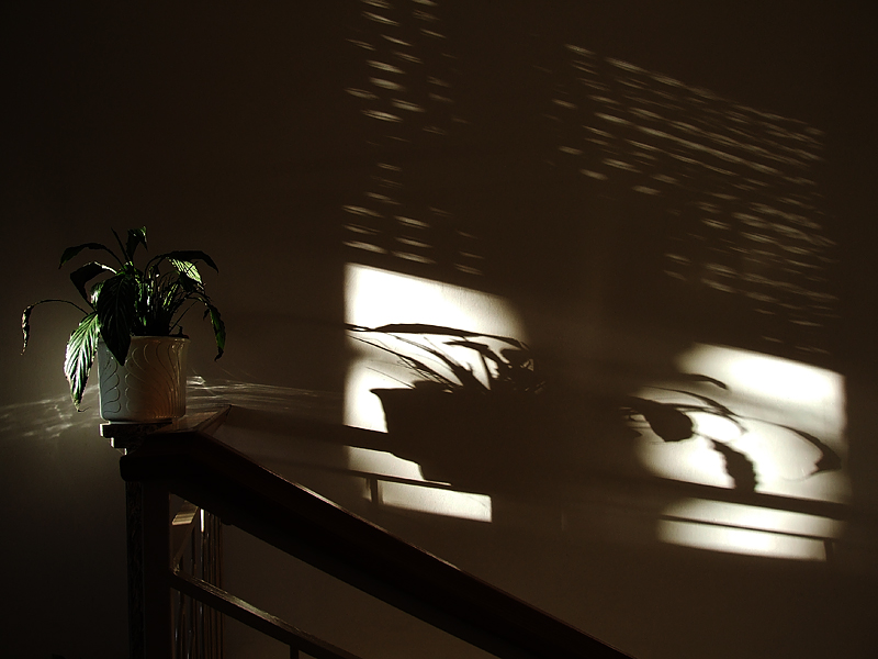 Un vaso di pomeriggio