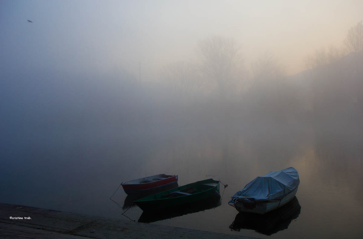Adda nella nebbia..