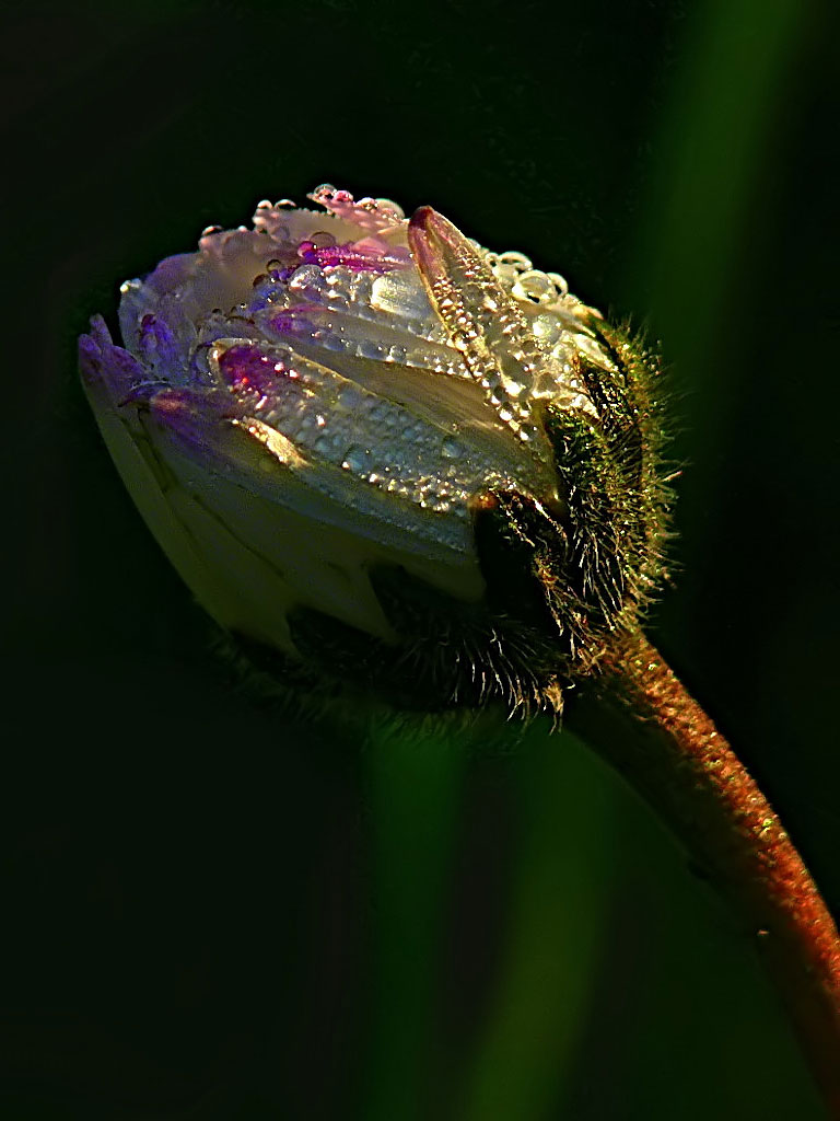 Critica al buio - Foto 044