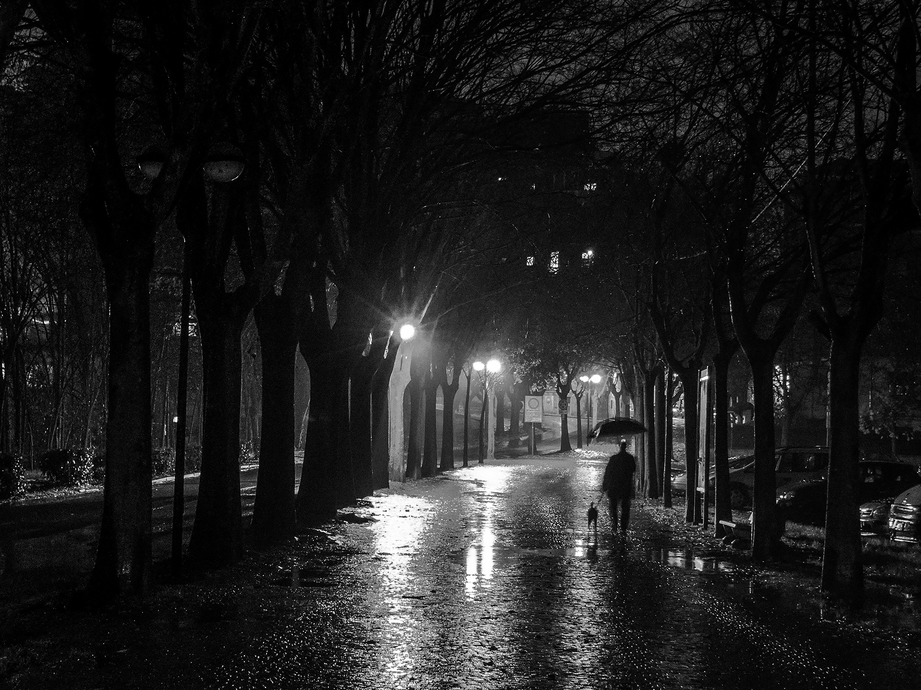 Una giornata uggiosa