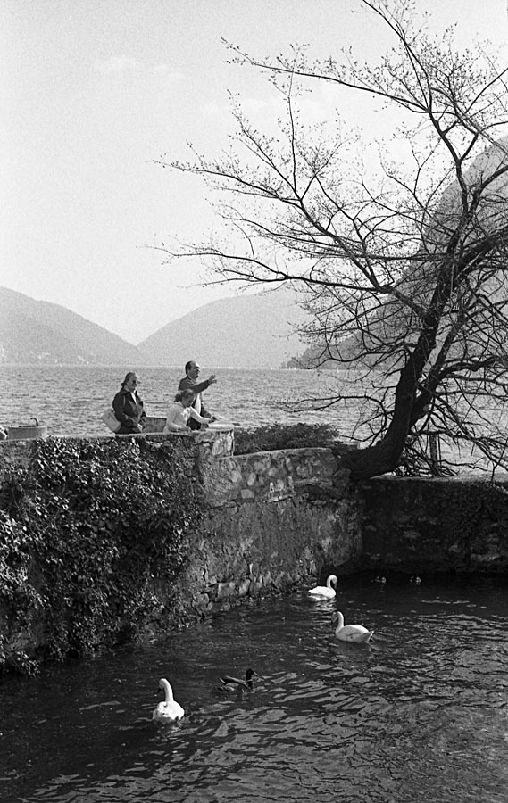 una giornata al lago