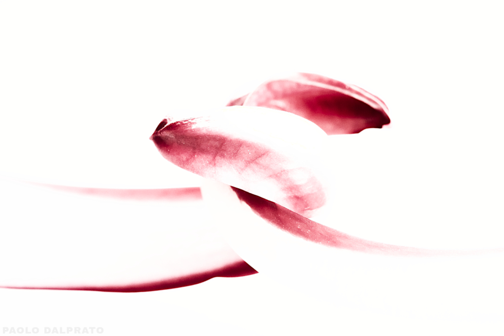 Cibo e quello che c'� intorno