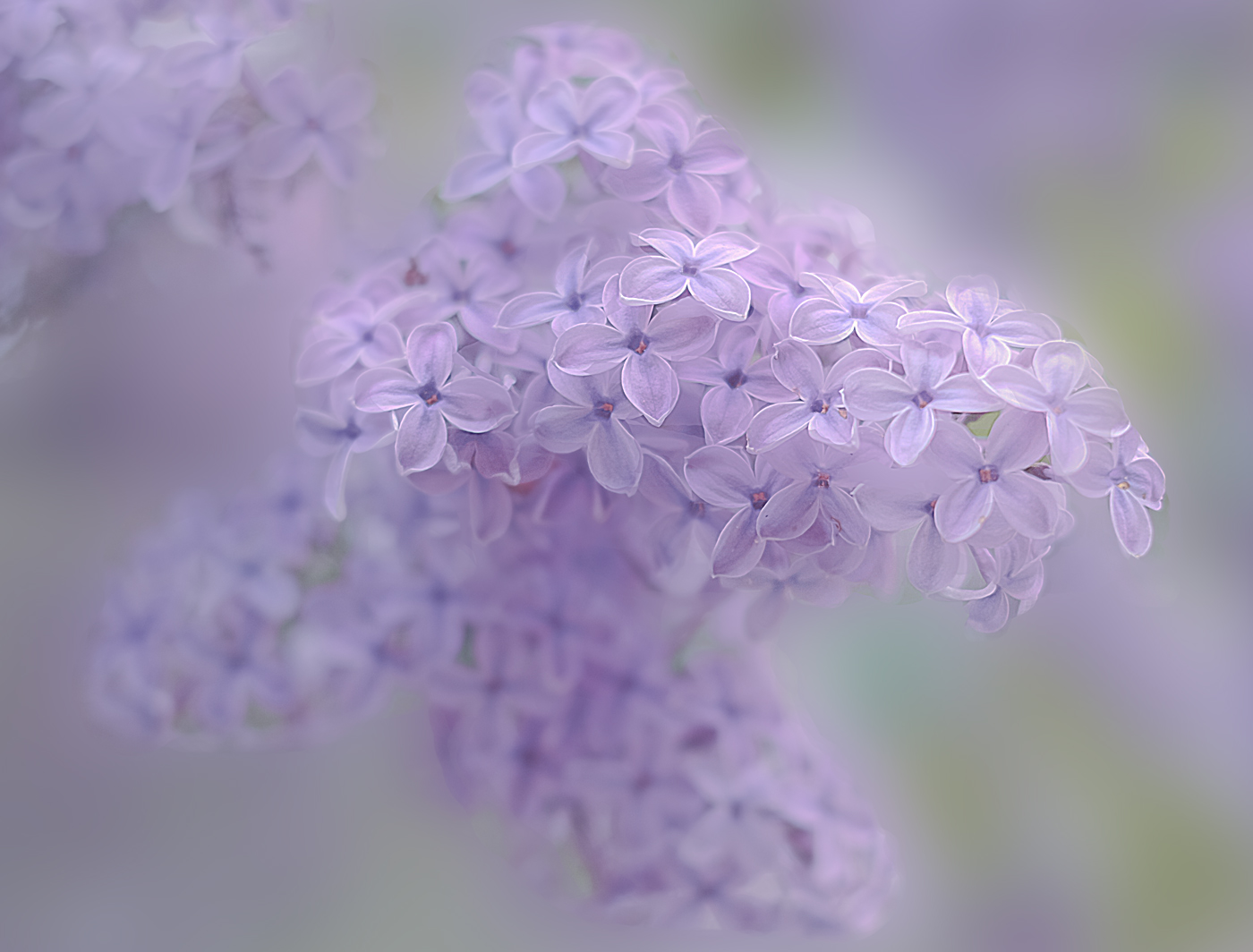 Critica al buio - Foto 047