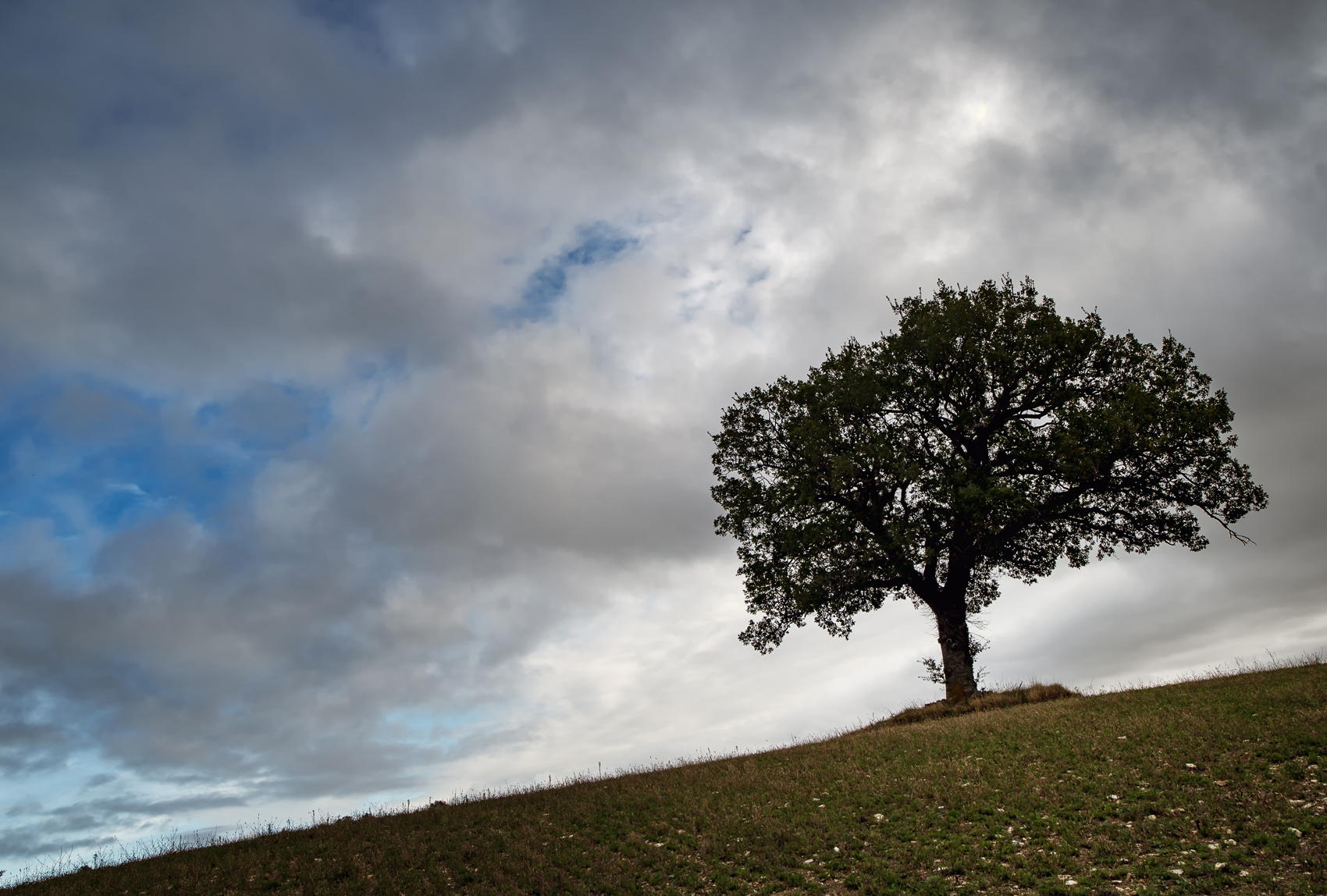Critica al buio - Foto 050