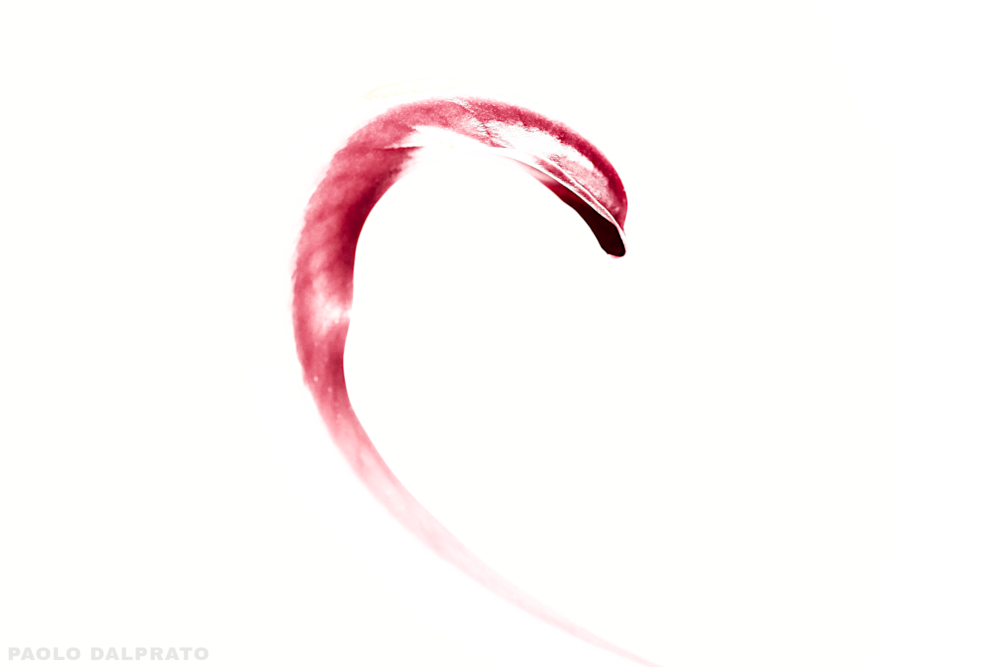 Cibo e quello che c'� intorno