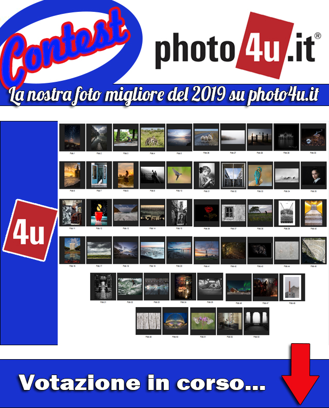 La nostra foto migliore del 2019 su photo4u.it: Votazione