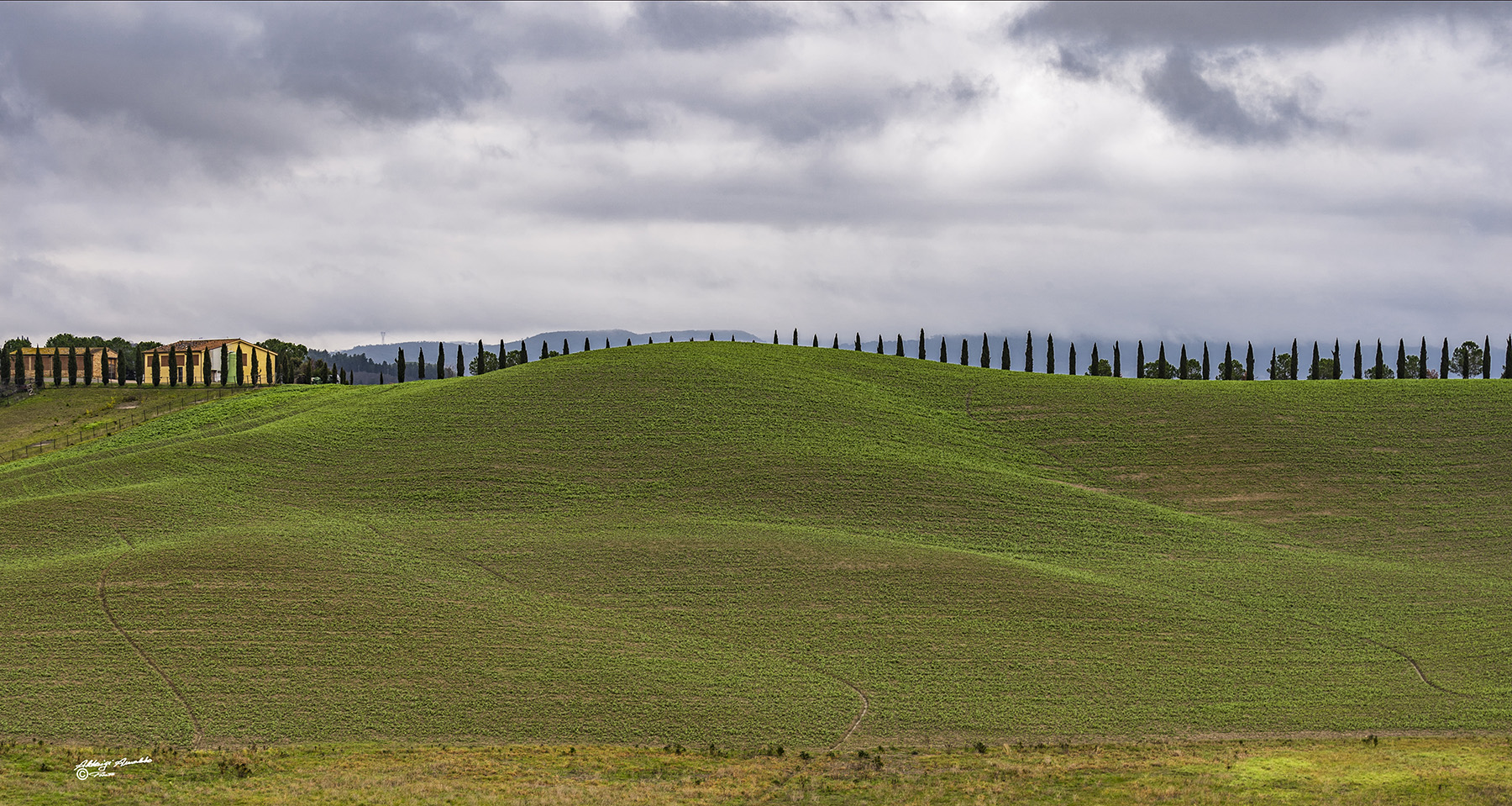 Collina e cipressi..