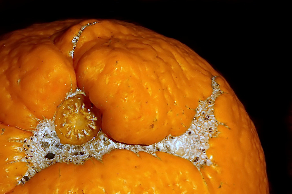 *** Mosaico Tarocco ***