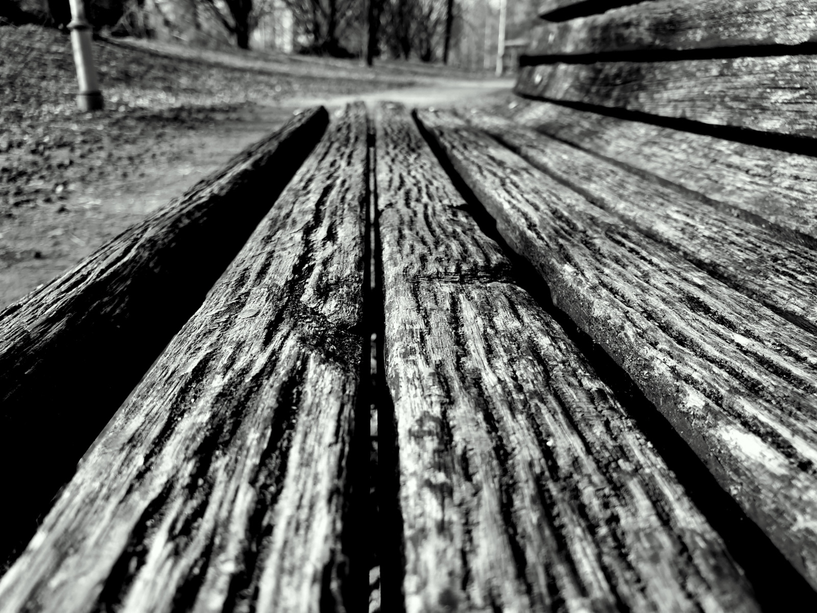 WOOD