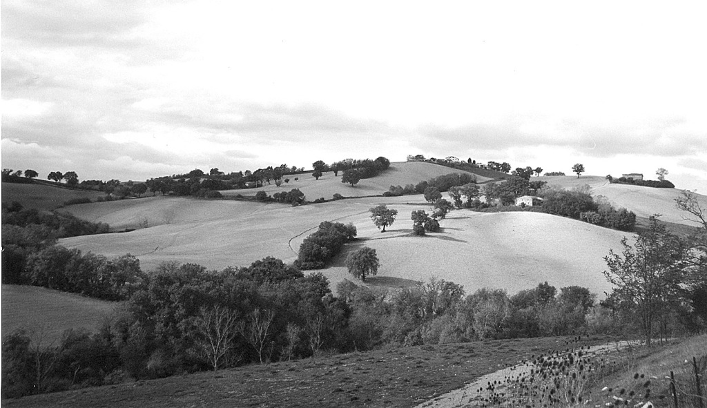 paesaggio marchigiano