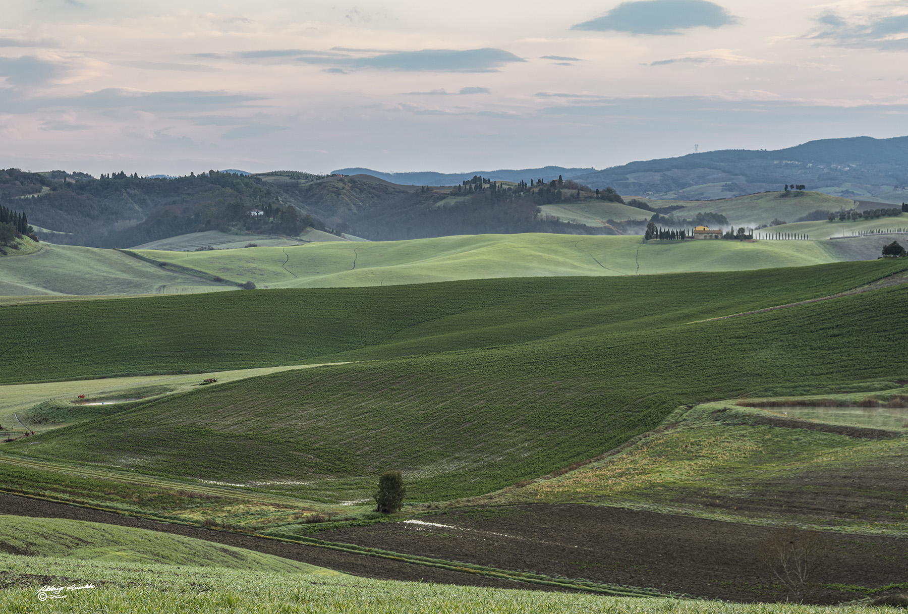 Il Verde  tra le colline..