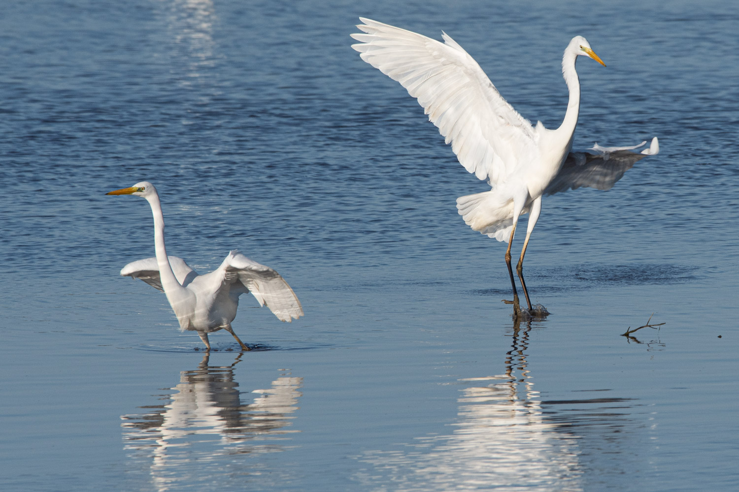 Decollo e atterraggio
