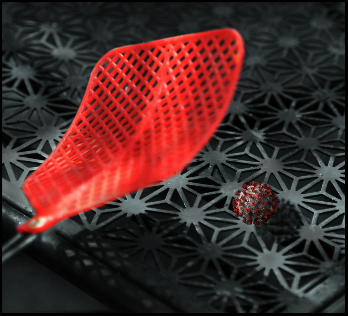 Coronavirus fake news...