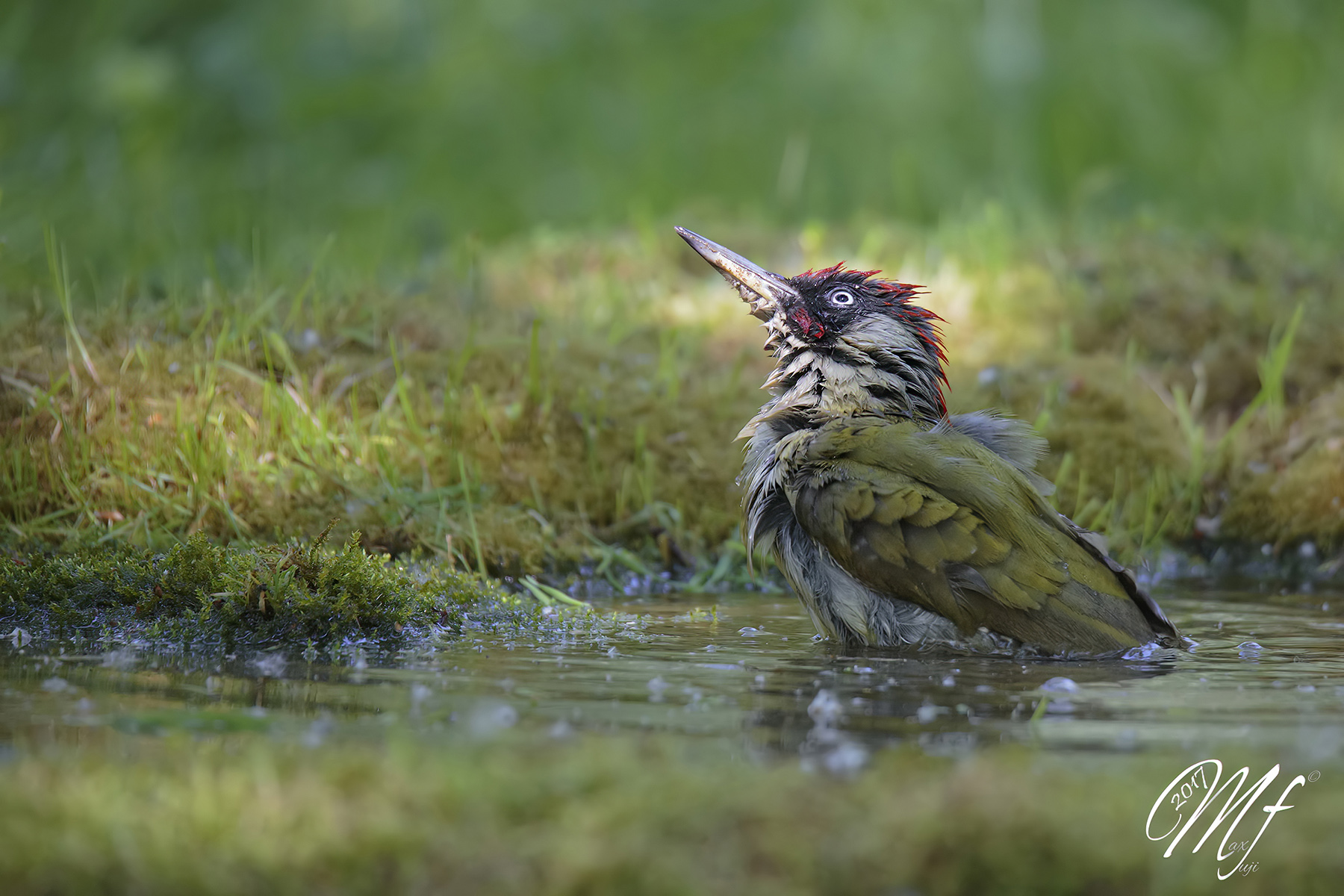 Uno sPicchio di luce