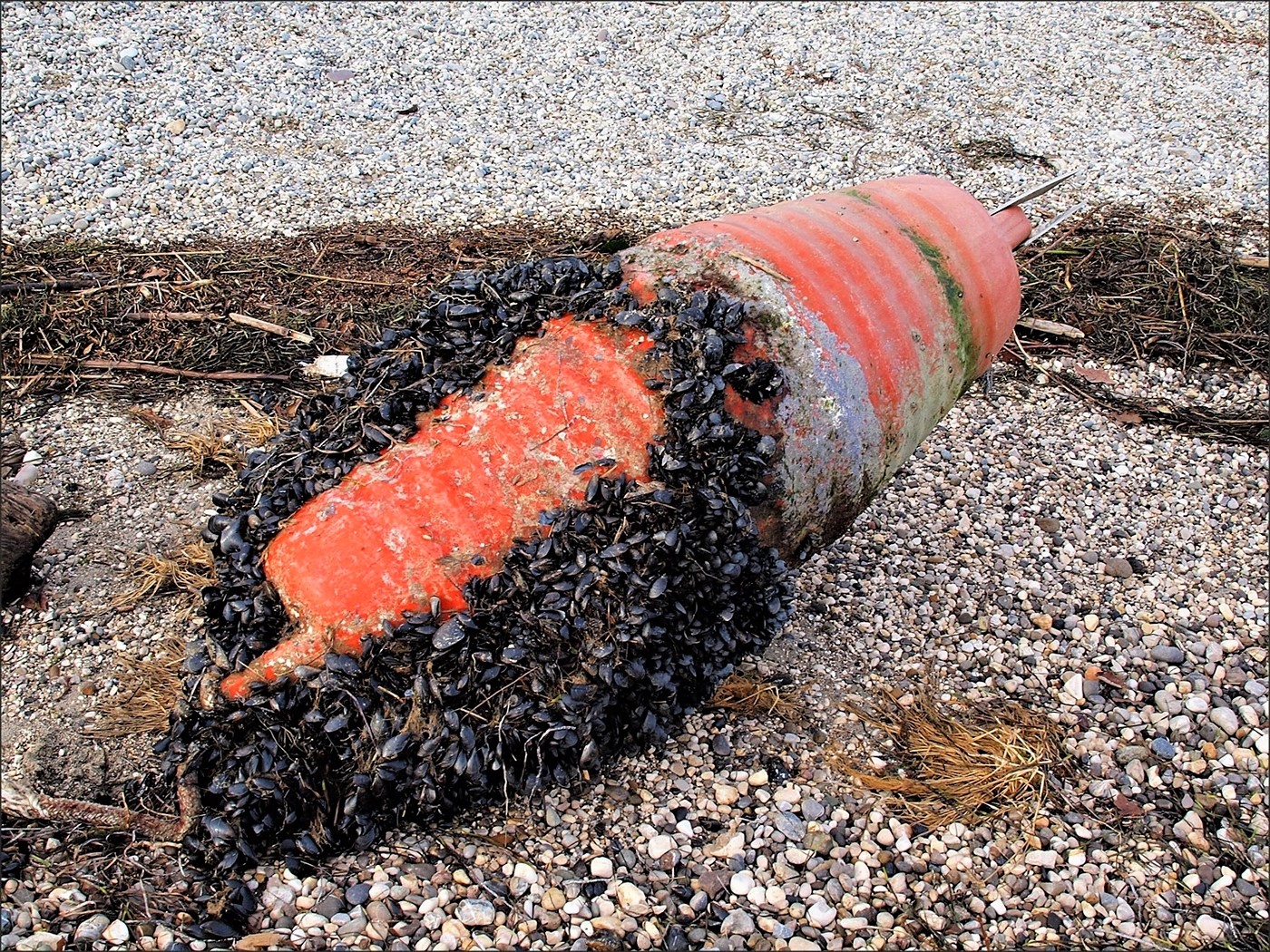 Nella buona e nella cattiva sorte