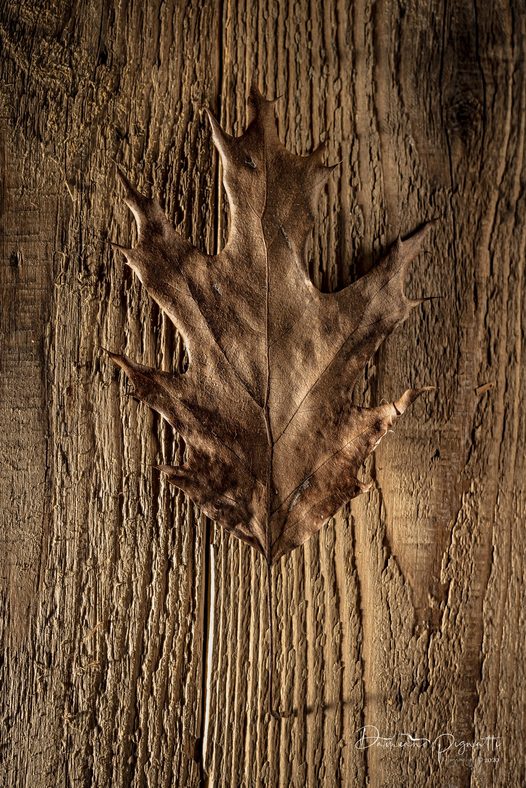 Experiment in Textures