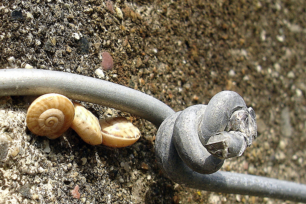 *** Tamponamento ***