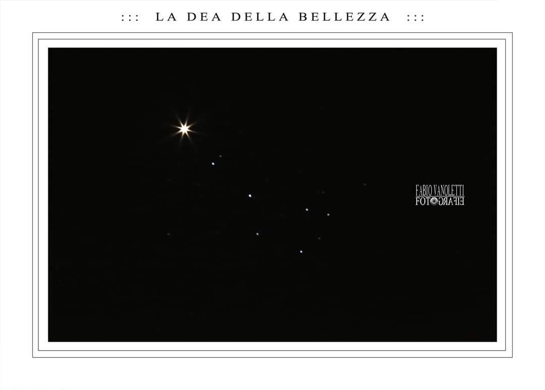 :::  L A  D E A  D E L L A  B E L L E Z Z A  :::