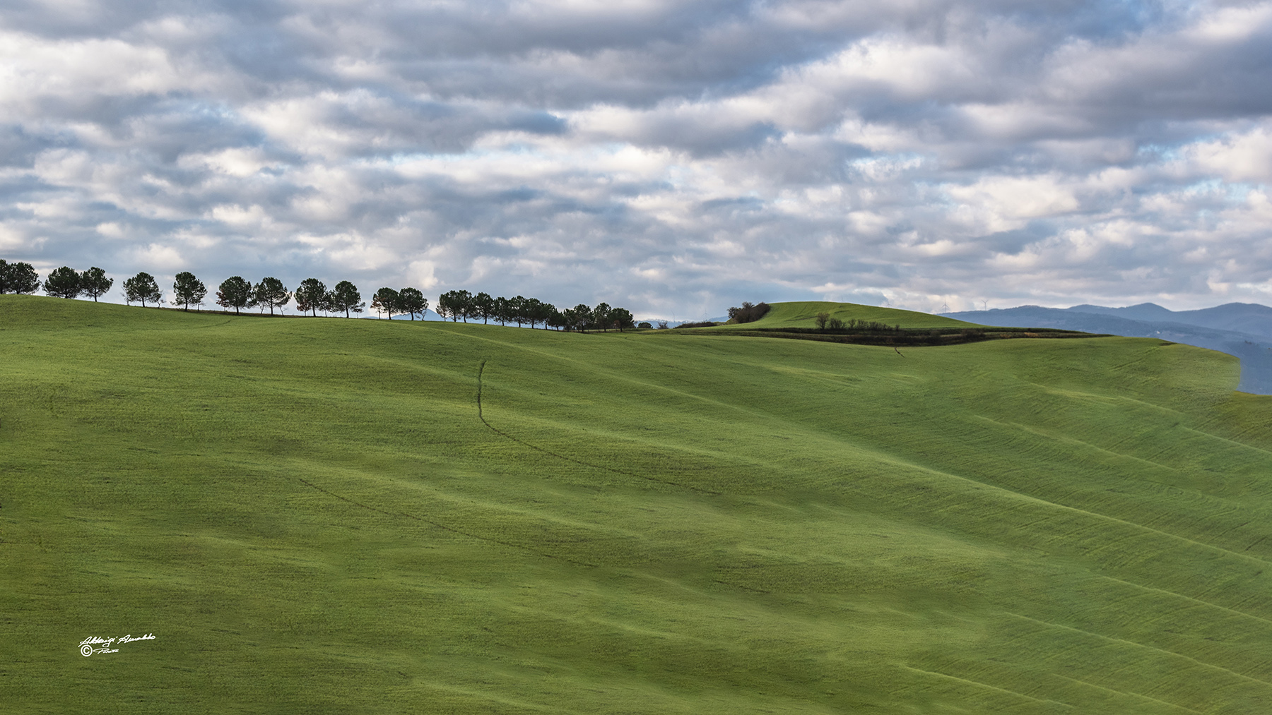 Il verde nella collina