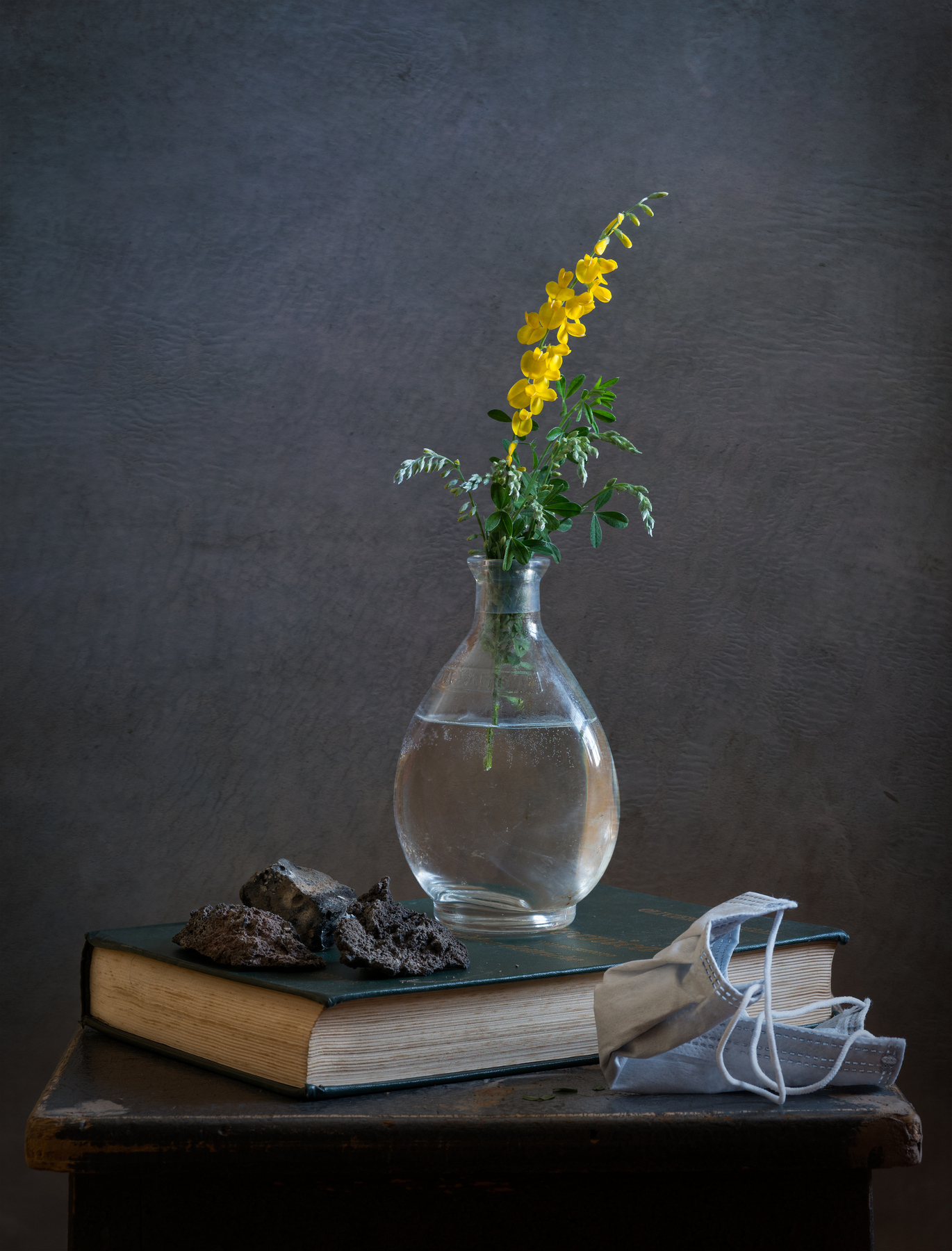 La ginestra, o fiore del deserto