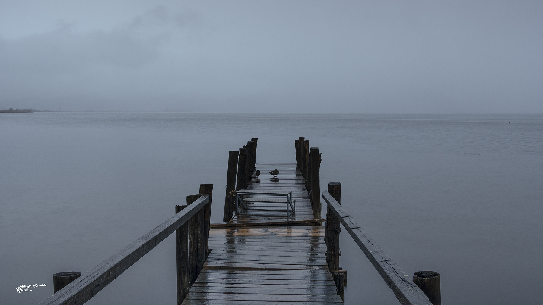 Il Pontile..Torre del lago 21-12-19