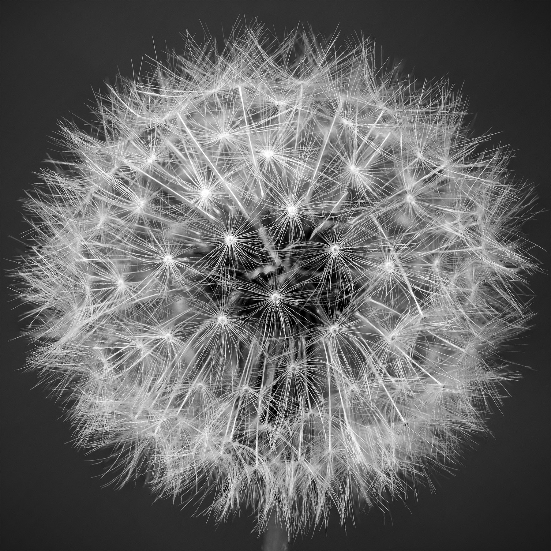 macro_home_BN_Fs_aprile2020