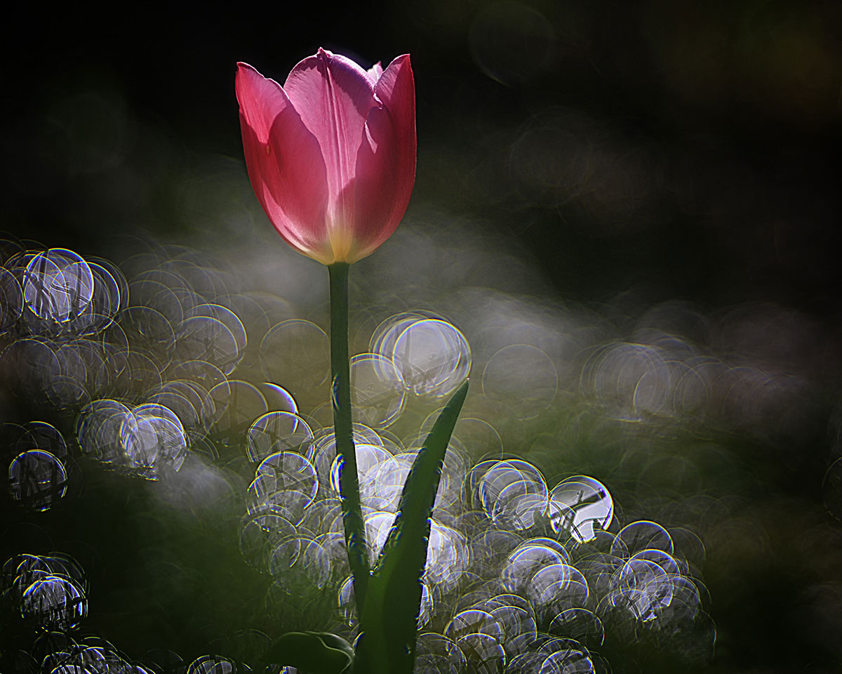 Critica al buio - Foto 064