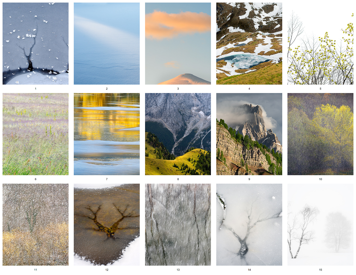 Un Viaggio nelle Stagioni