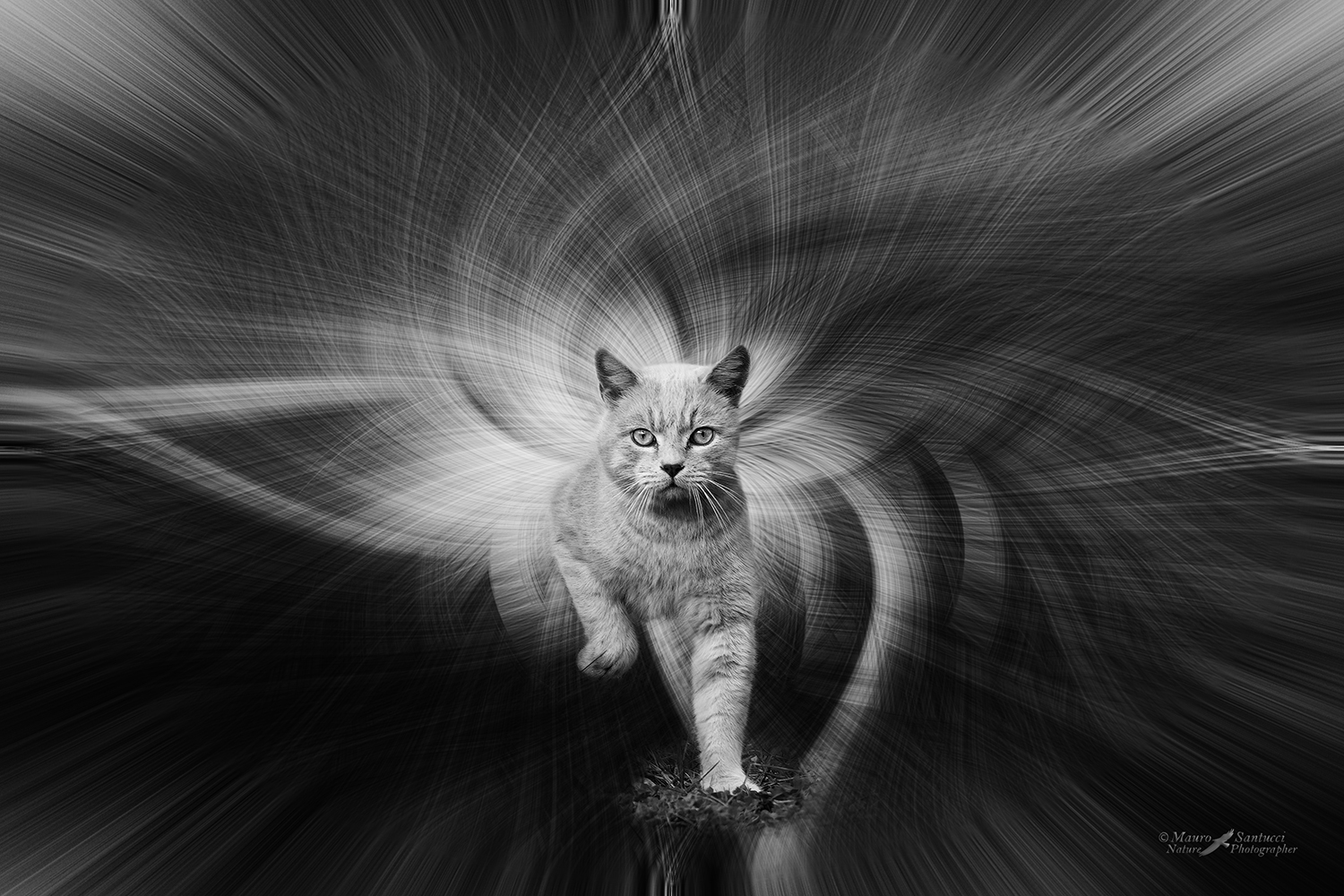 Ritorno-dall'iperspazio-_DSC4097