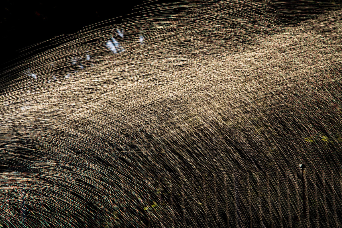 annaffiando il giardino