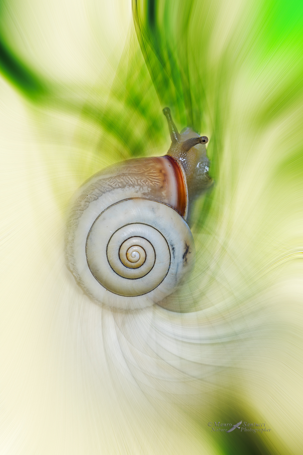 Chiocciolando_DSC2898