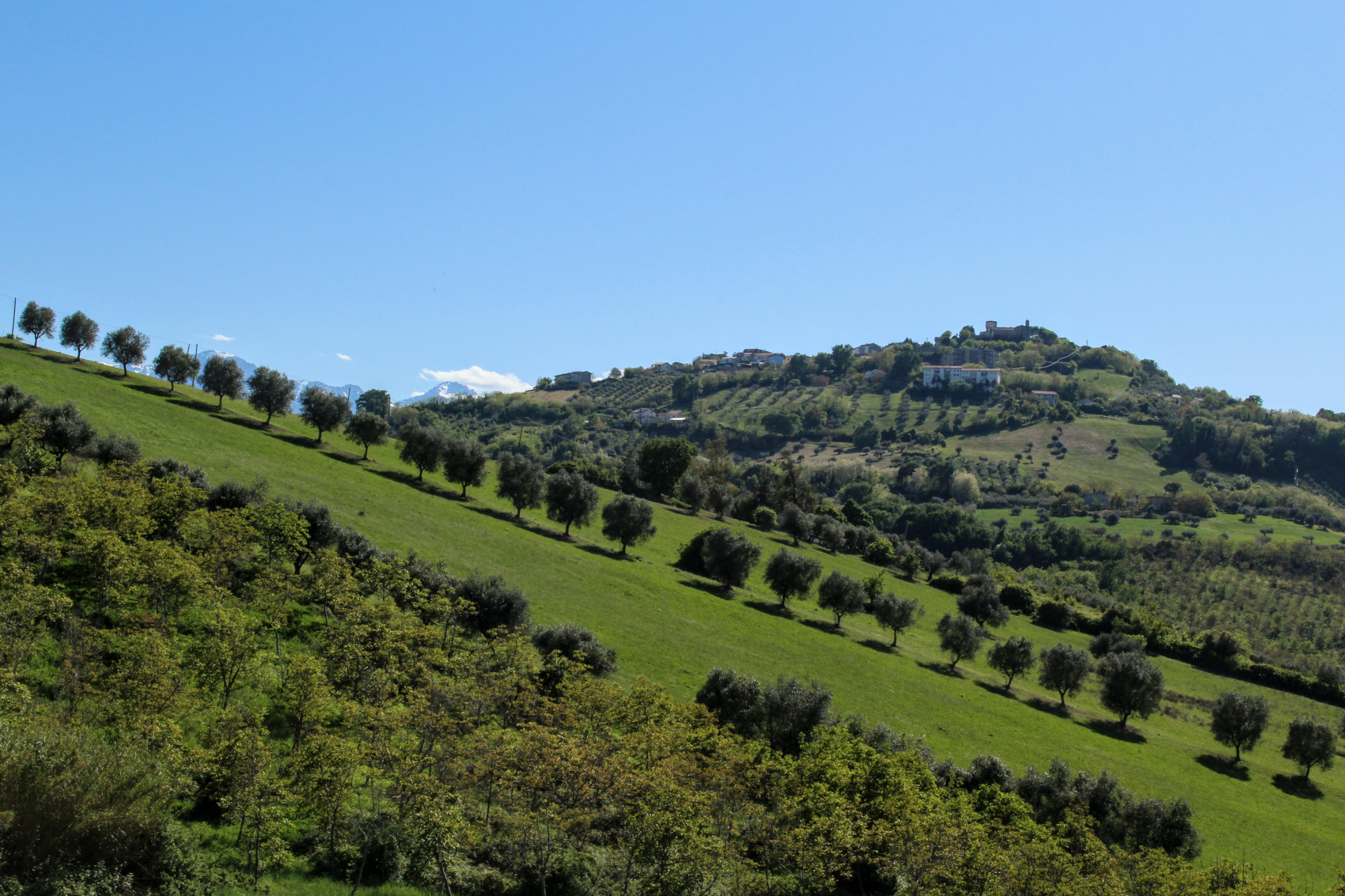 gi� per la collina