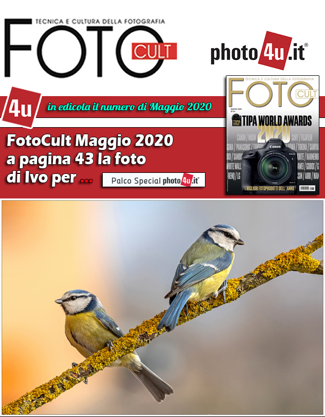 FotoCult Maggio 2020