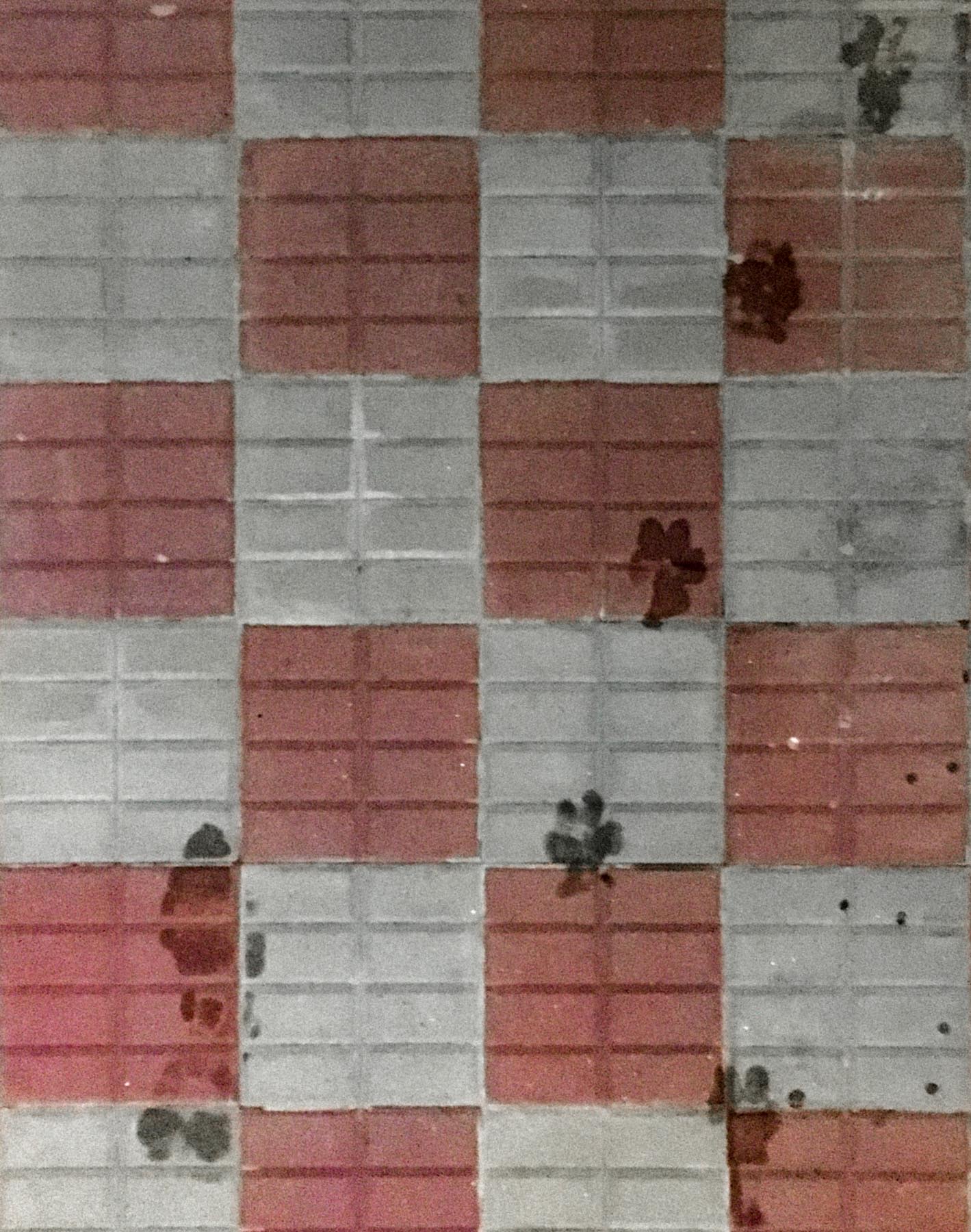 Passeggiata a due all�imbrunire