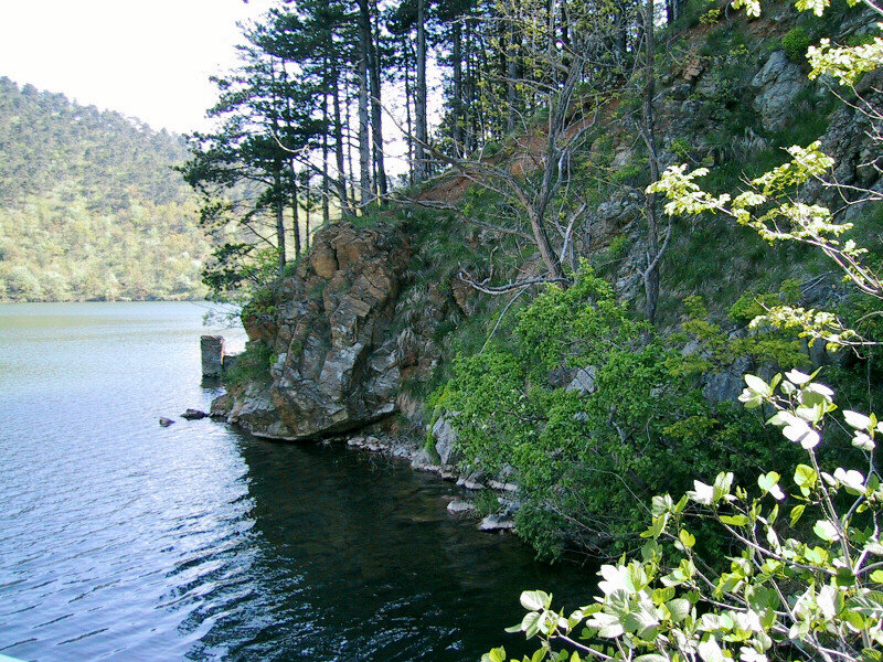 sponde del lago badano