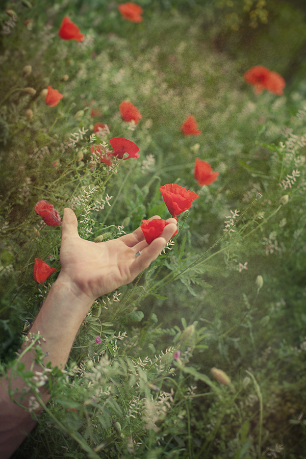 Come Farfalle/Antonino