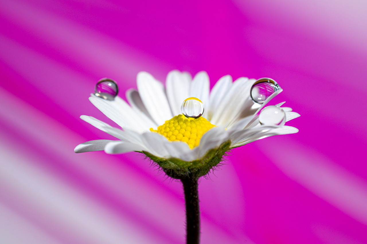 La leggerezza dell�acqua.