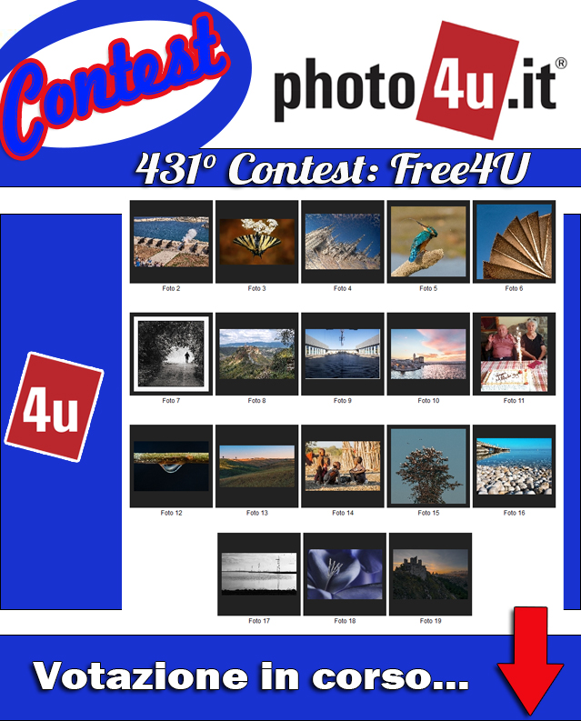 431 Free4U Contest Votazione in corso...