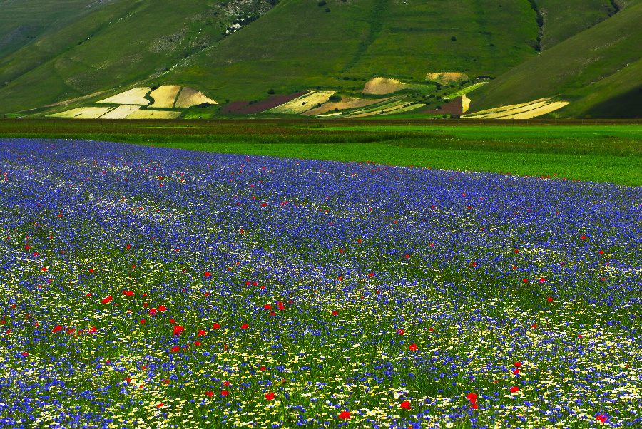 Castelluccio...amarcord..3