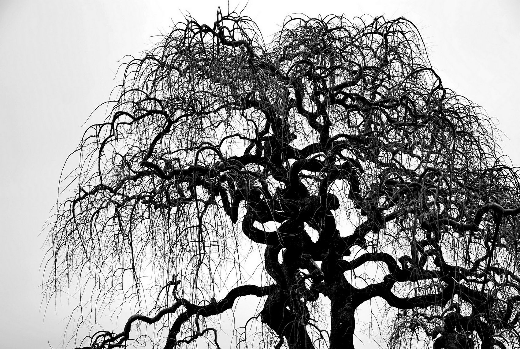 malinconico sul lago