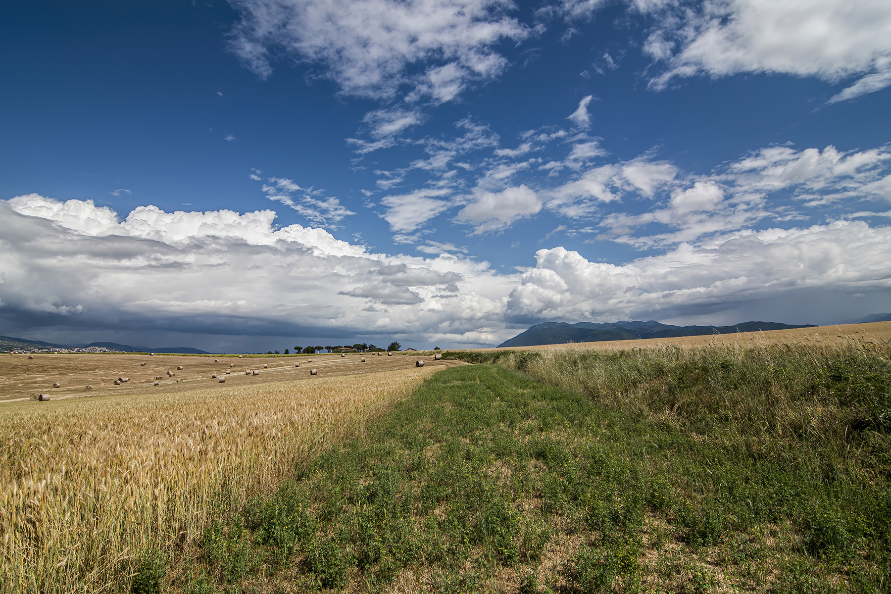 campagna romana mag2020