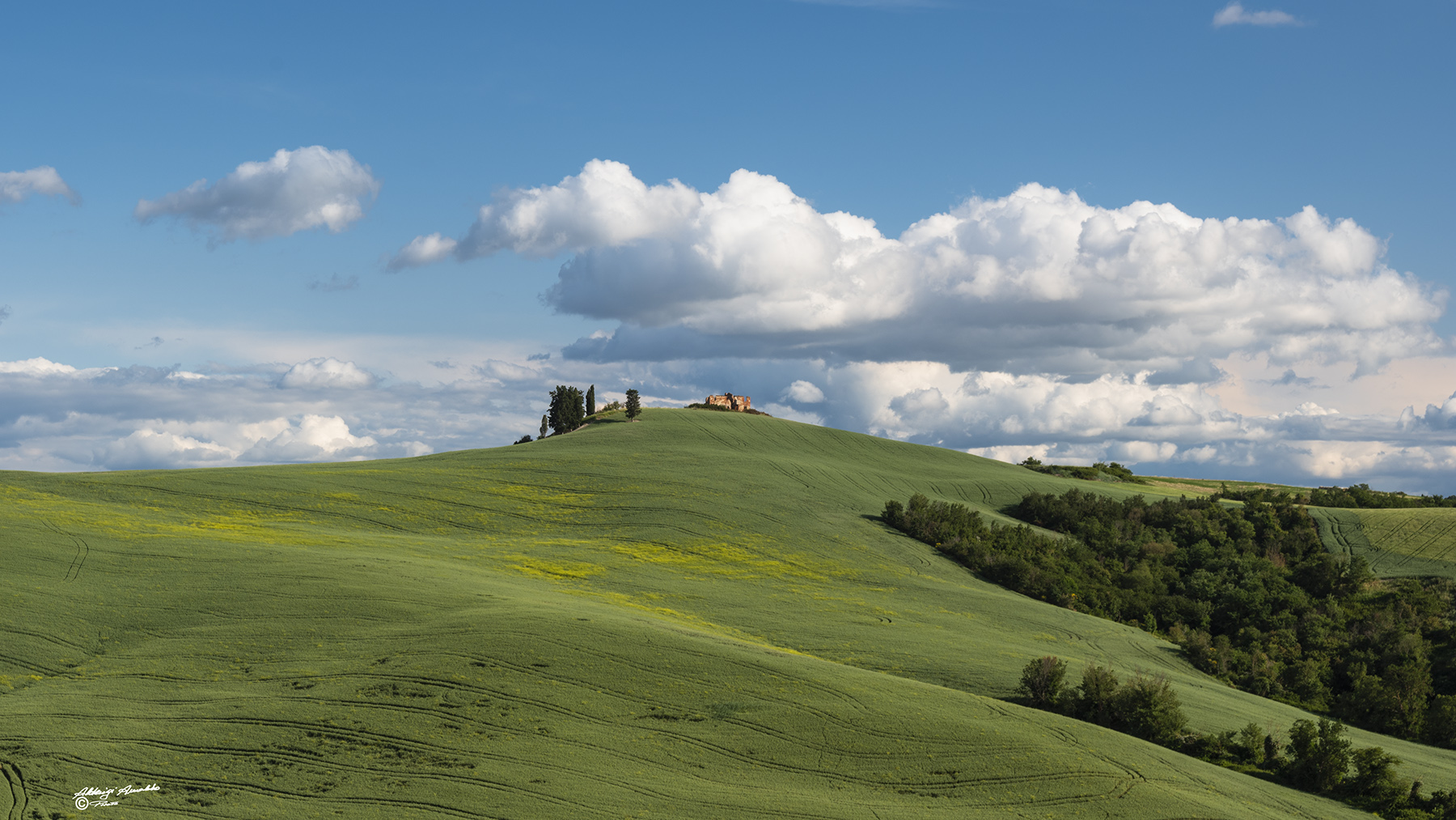 Colline Toscane nel verde.